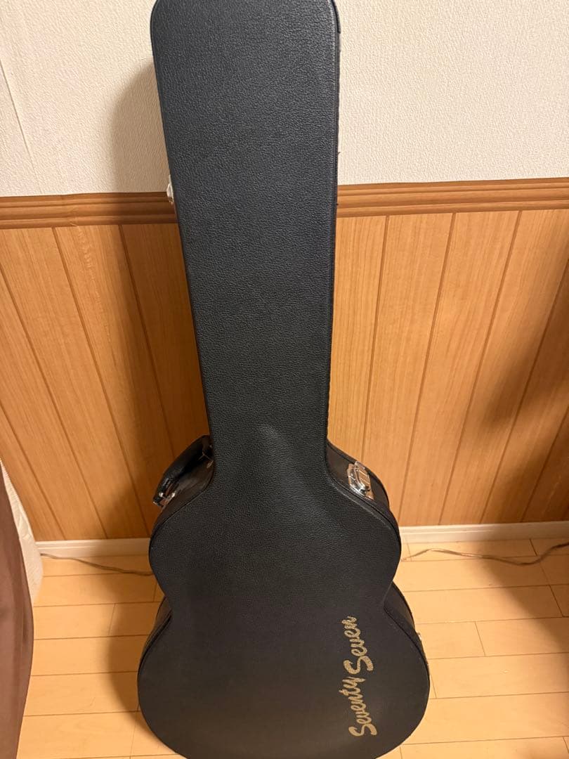 EXRUBATO-STD/S-JT セミアコ