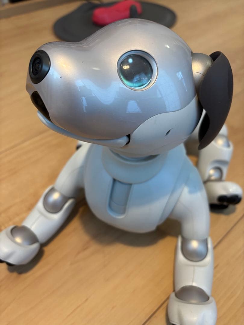 SONY/ソニー aibo/アイボ ERS-1000 本体