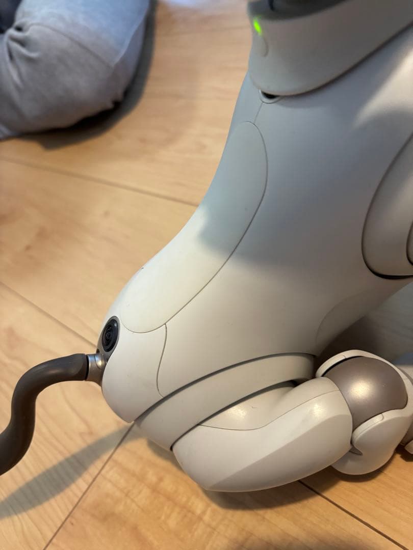 SONY/ソニー aibo/アイボ ERS-1000 本体