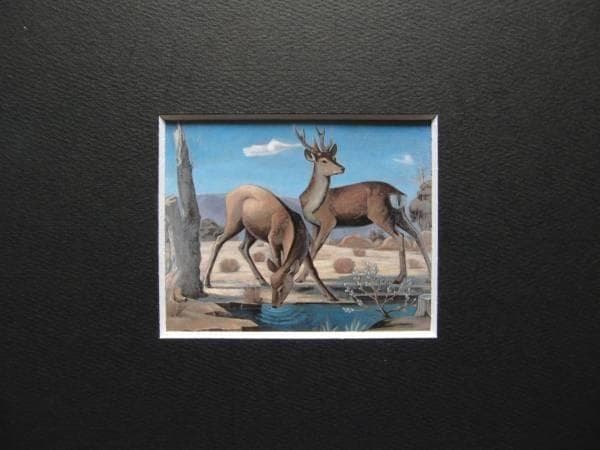 浜田葆光、水辺の鹿、豪華・希少・大判画集画、新品高級額、額装付、状態良好