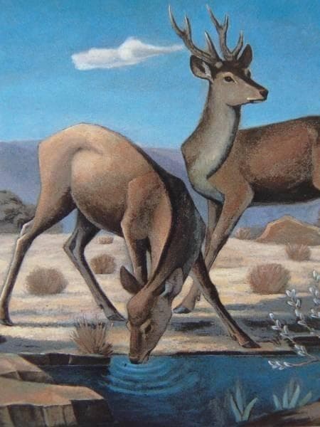 浜田葆光、水辺の鹿、豪華・希少・大判画集画、新品高級額、額装付、状態良好