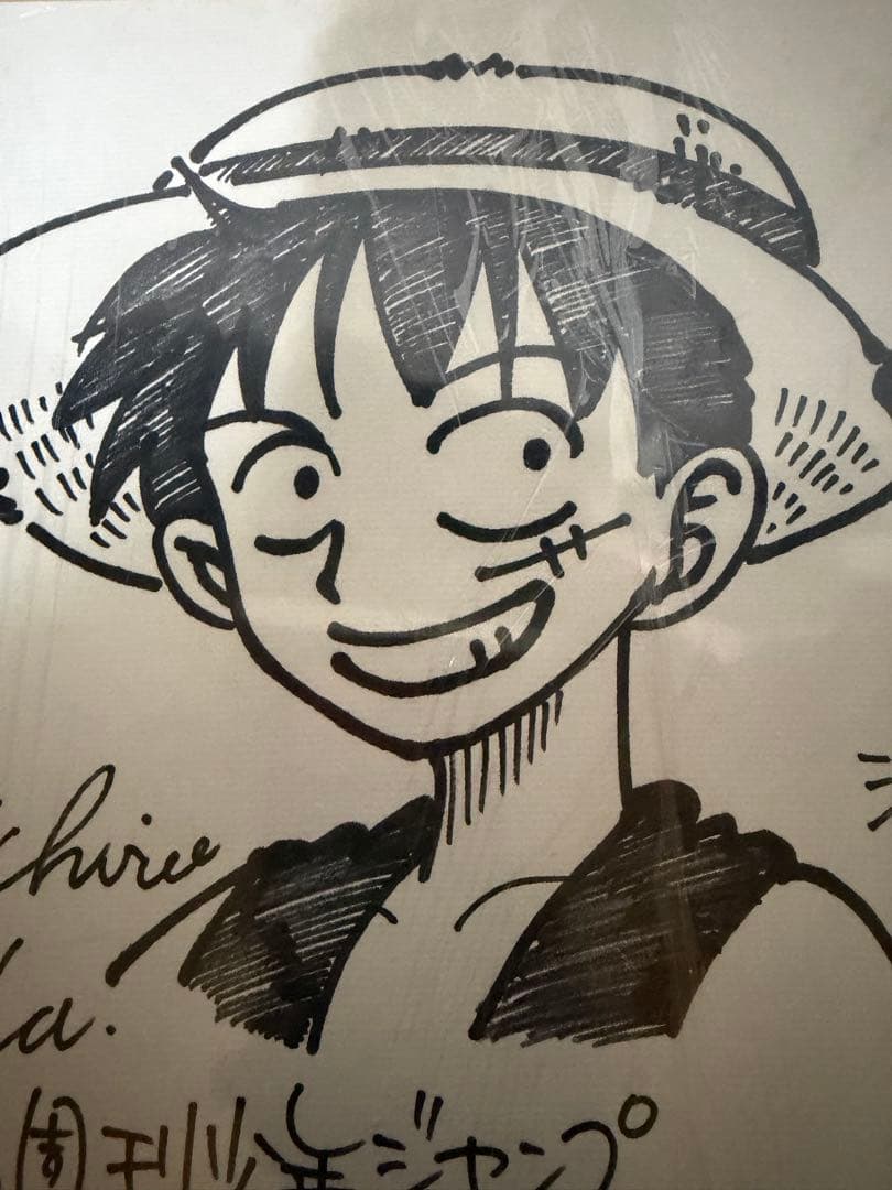 ONE PIECE ワンピース 直筆サイン色紙 当選品 尾田栄一郎 ルフィ