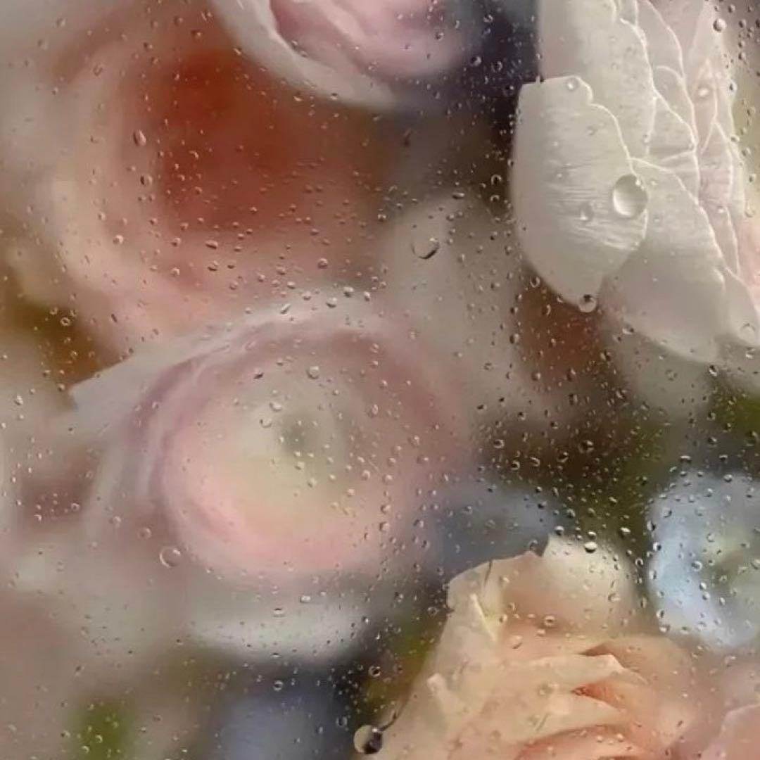 ＣＤＬ(プロフご確認 お願い致します)