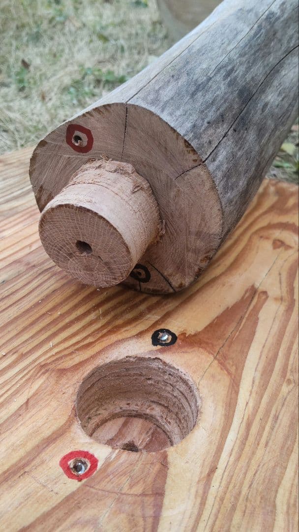 キャットタワー