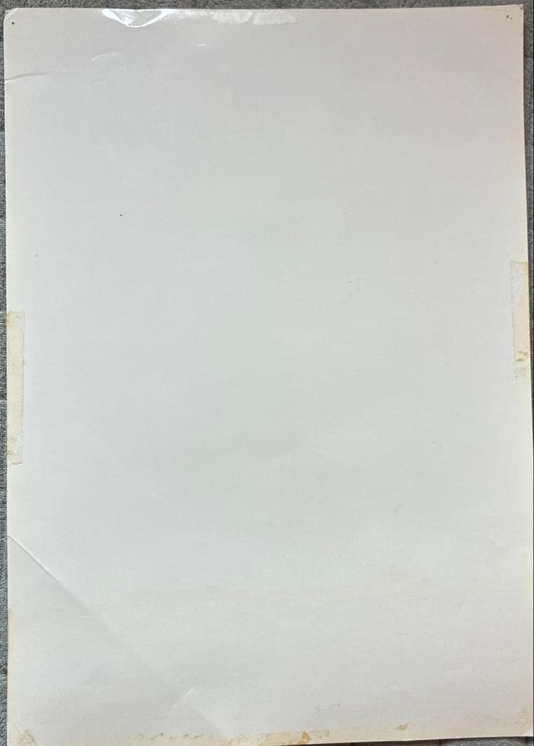 歯の解剖図 ポスター