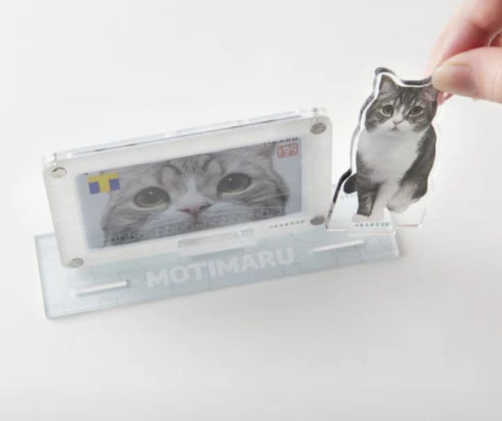 もちまる日記　もち様　アクリルスタンド　カードスタンド　202307052333