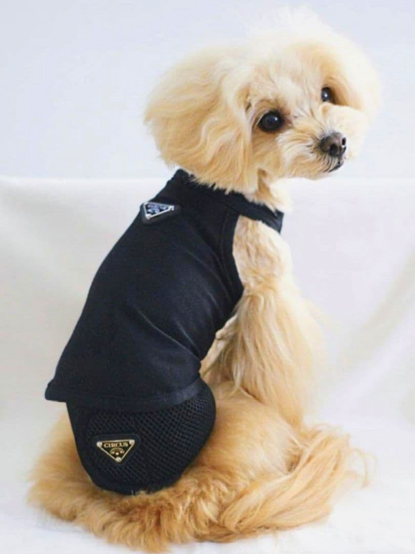 Chic Mesh タンクBlack＆Salmon　サーカスサーカスcircus