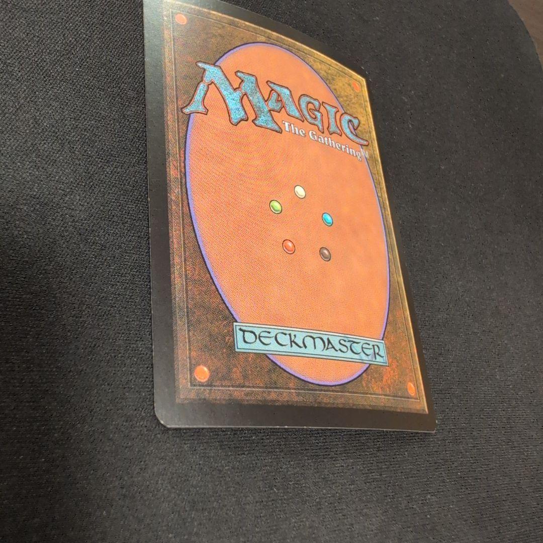 cutreaderMTG カープルーザンの森 10ED Foil 日本語版