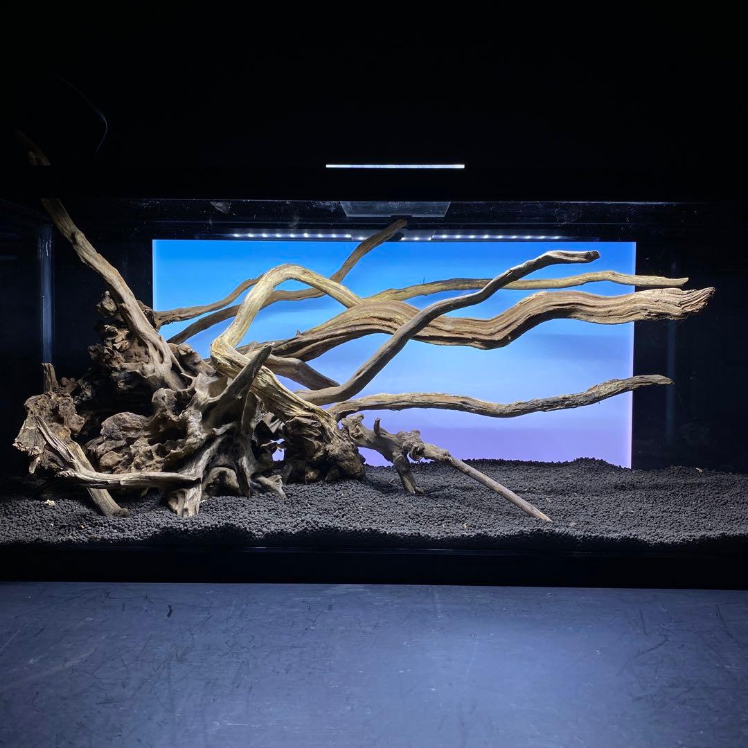 MSRW-6335 天然流木レイアウトセット　スリムウッド　アクアリウム