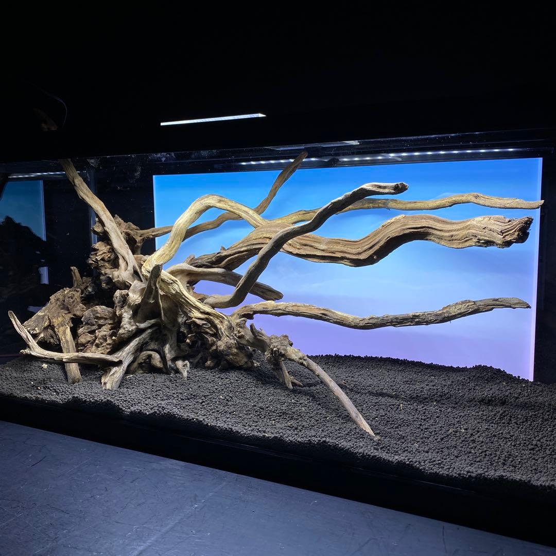MSRW-6335 天然流木レイアウトセット　スリムウッド　アクアリウム