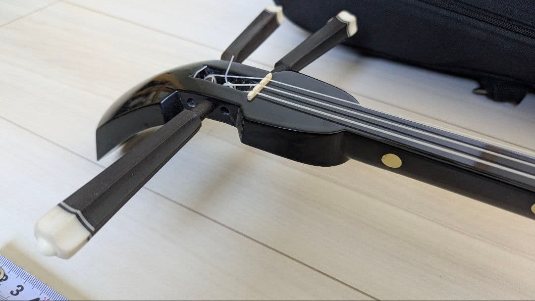 三線本体 ヘビ革模様 ケース付き