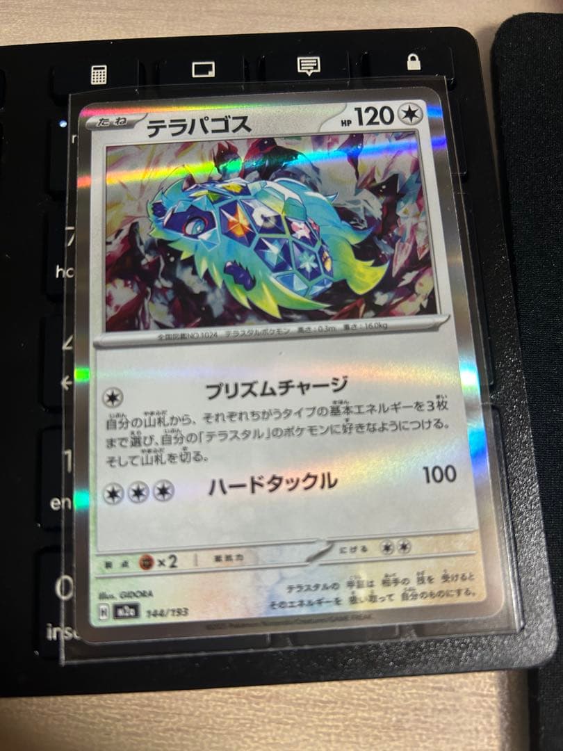 テラバゴス ポケモンカード