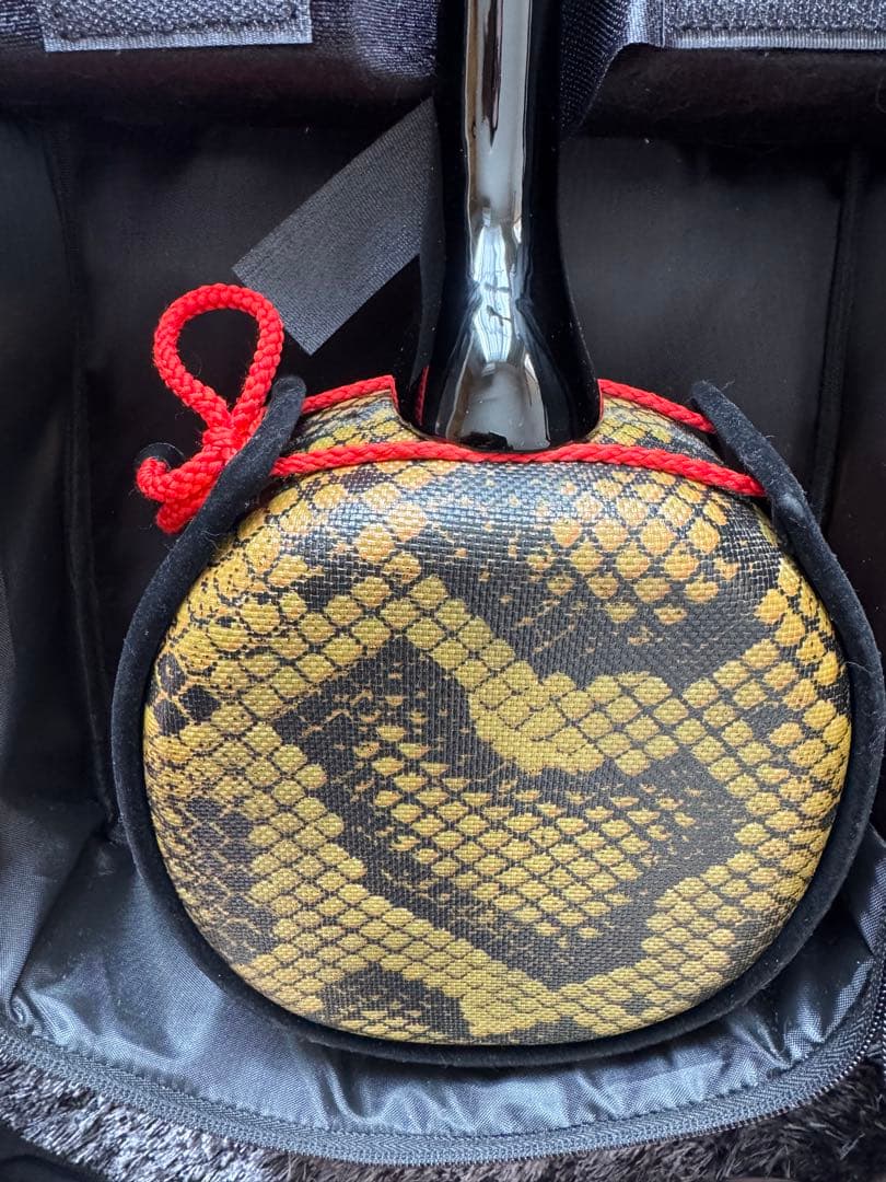 三線 蛇皮ボディ ケース付き