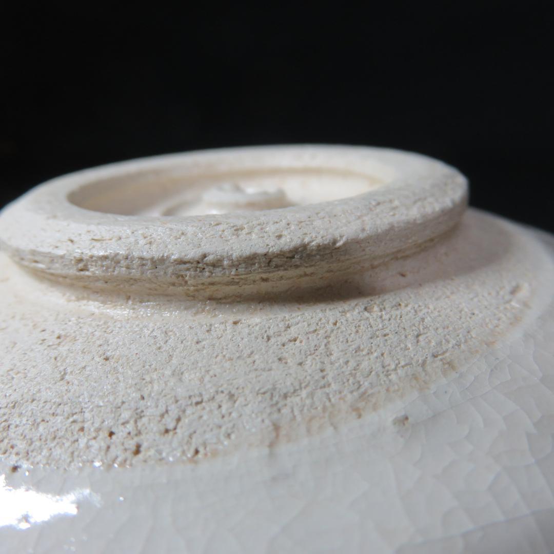 茶碗 松楽 銘 辰 タツノオトシゴ サンゴ 海 抹茶碗 茶器 茶道具