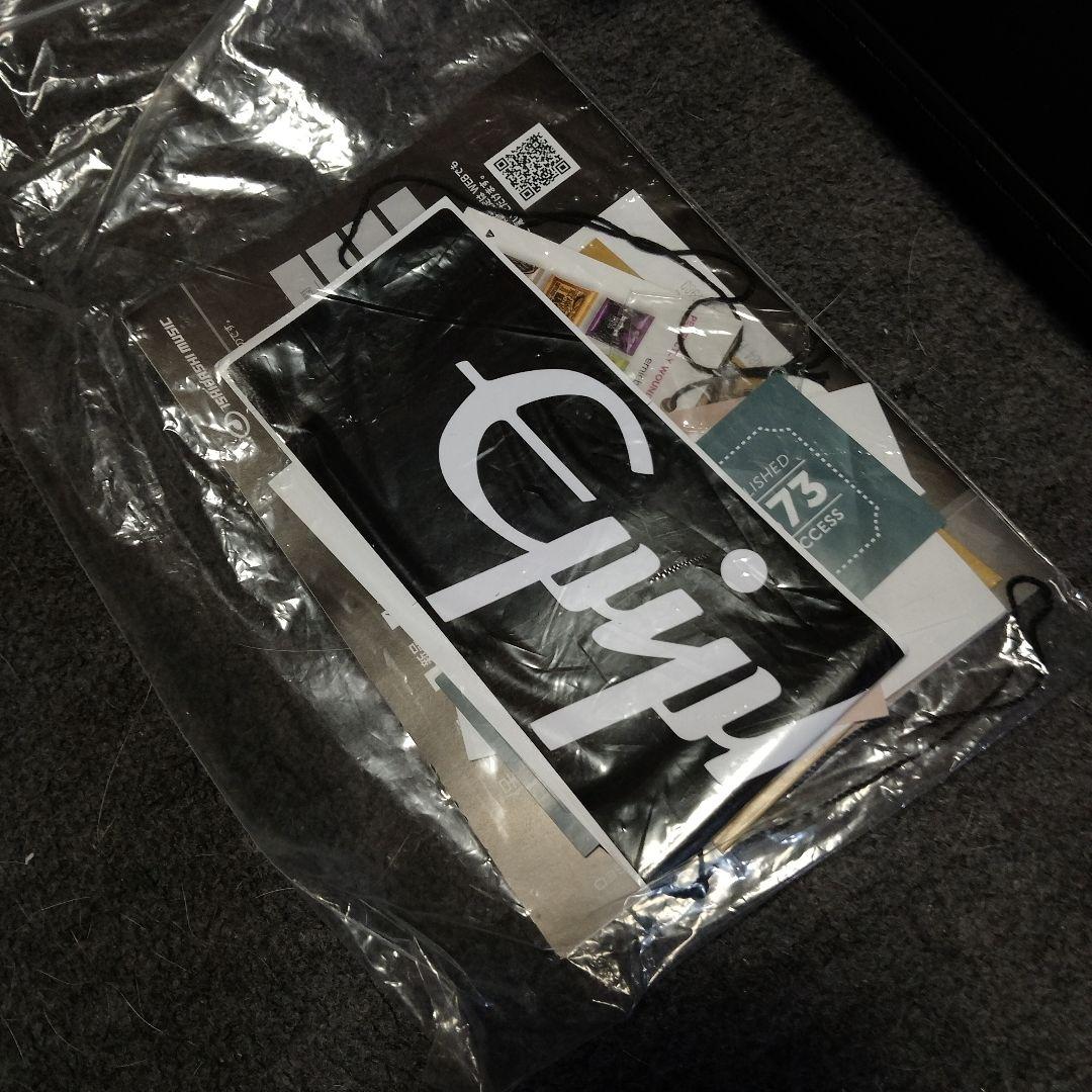 ギター Epiphone Billie Joe Armstrong Les PaulJr