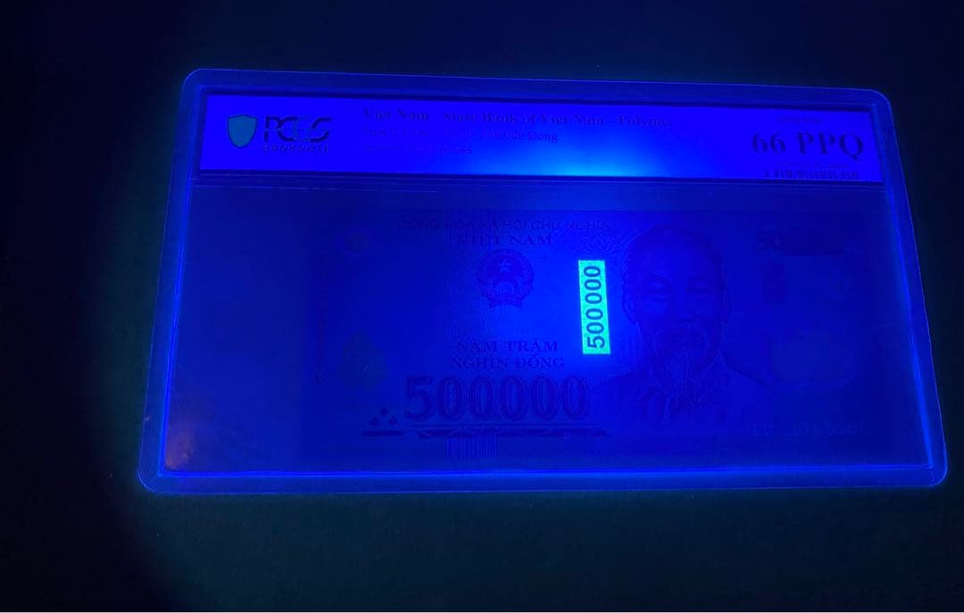 ベトナムドン ベトナム紙幣 ベトナムお金 50万ドン　外国紙幣　(セール中)