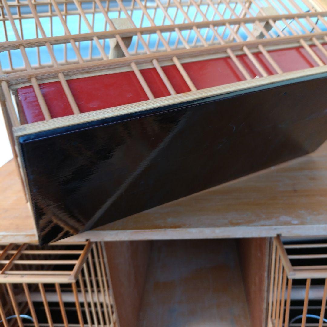 ゆでたまご様用　メジロ籠