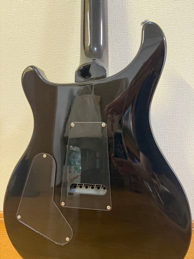 PRS(Paul Reed Smith) se custom24 (付属品多数)