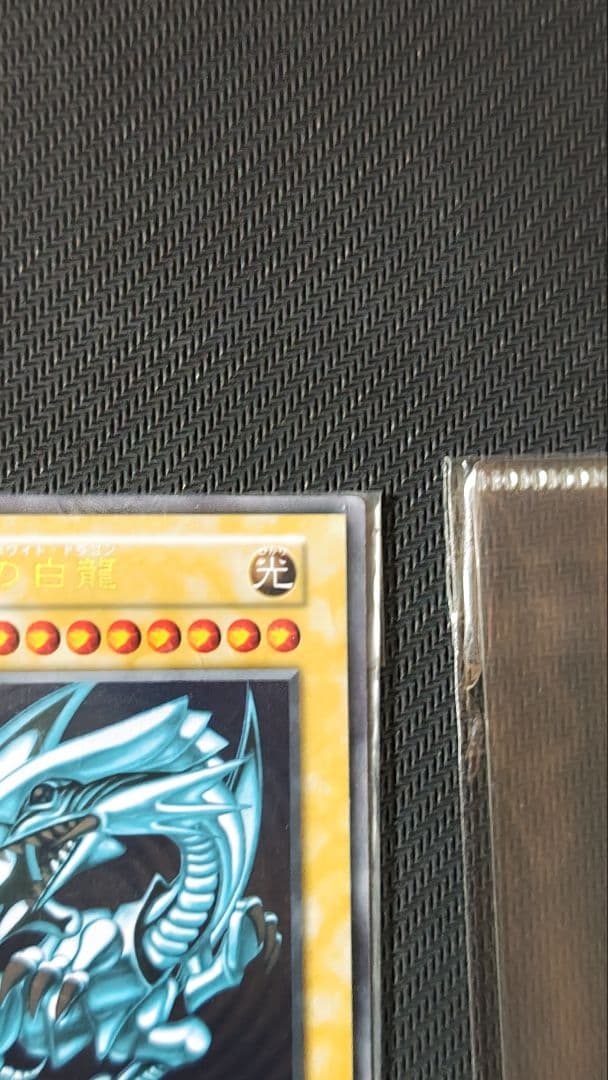 青眼の白龍 ステンレス