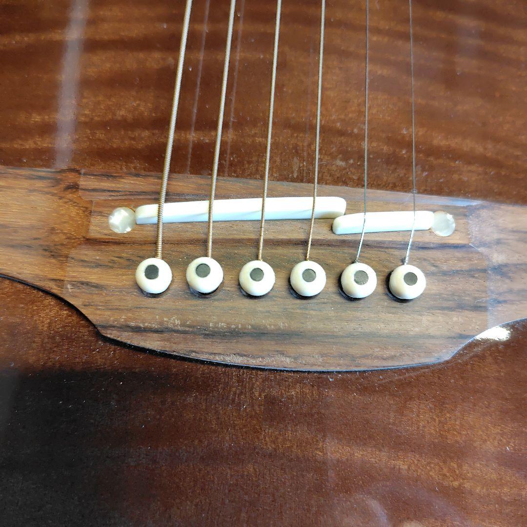 Takamine アコースティックギター カッタウェイ