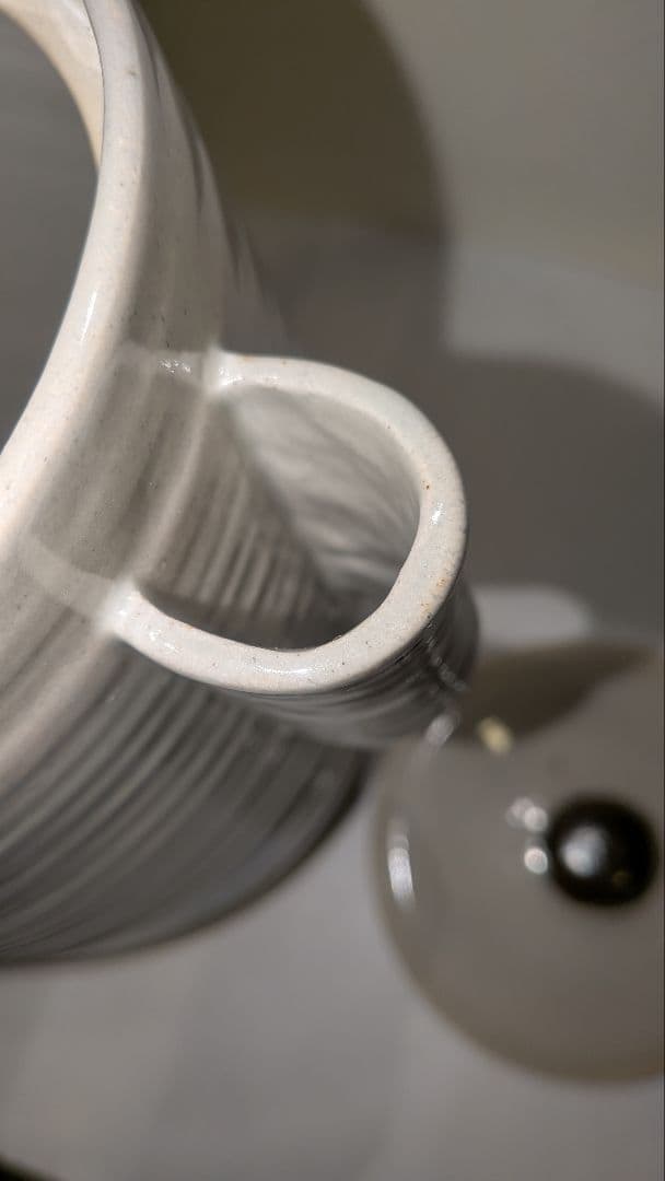 『陽炎園』月に雁絵　耳付き水指　細水指　膳所焼　茶道具　共箱共布　秋月見