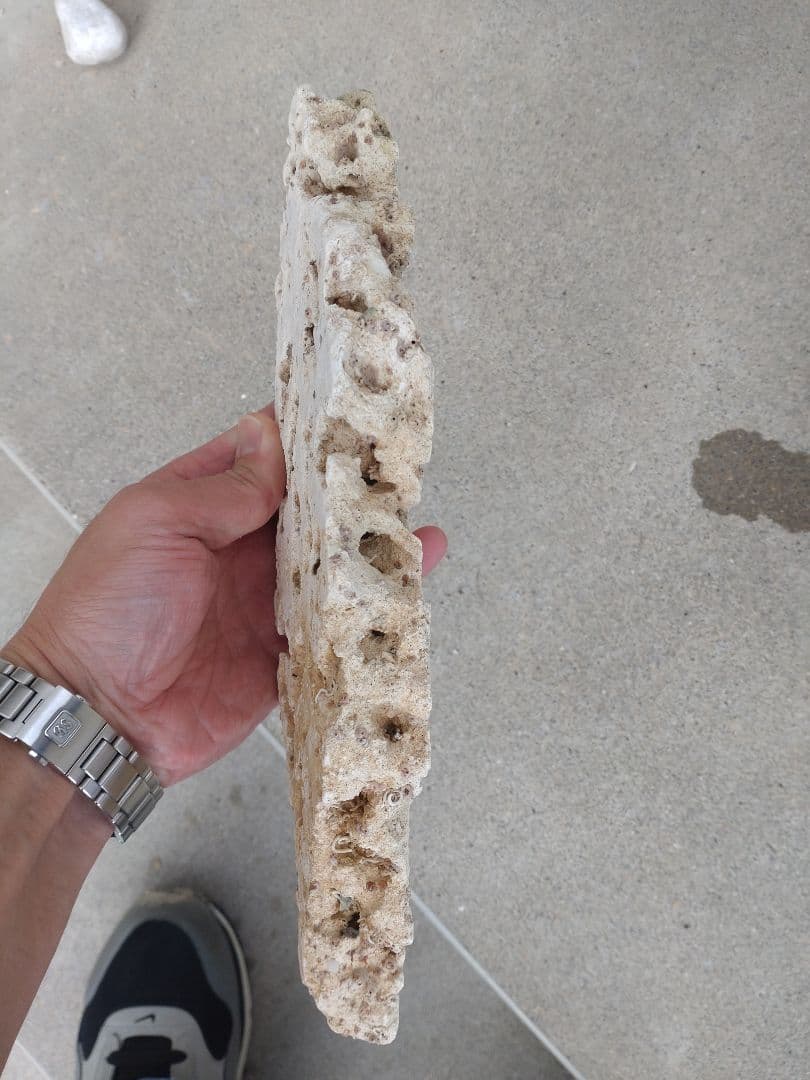 オーバーフロー水槽　120