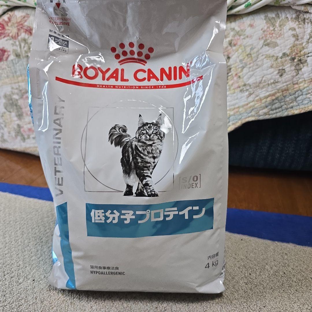  CANIN 低分子プロテイン 4kg　未開封
