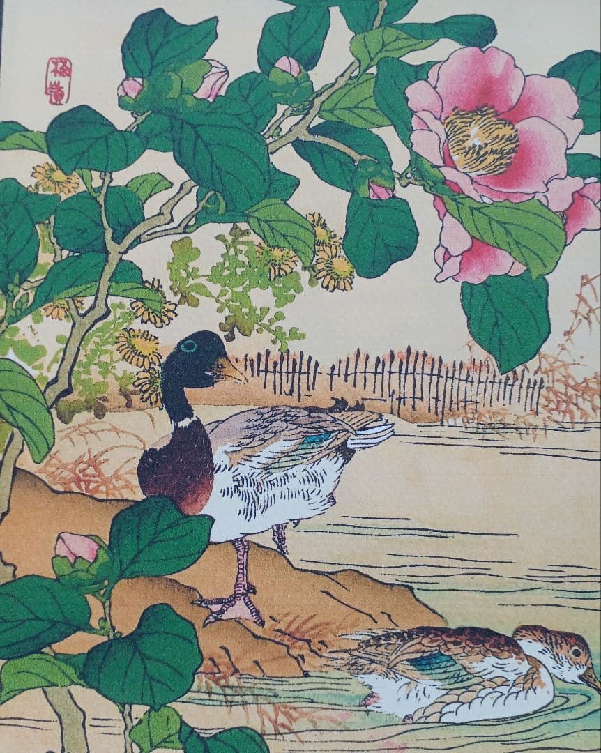 江戸屋版　媒嶺花鳥画譜第1編 27図 手作り古画修復　浮世絵風