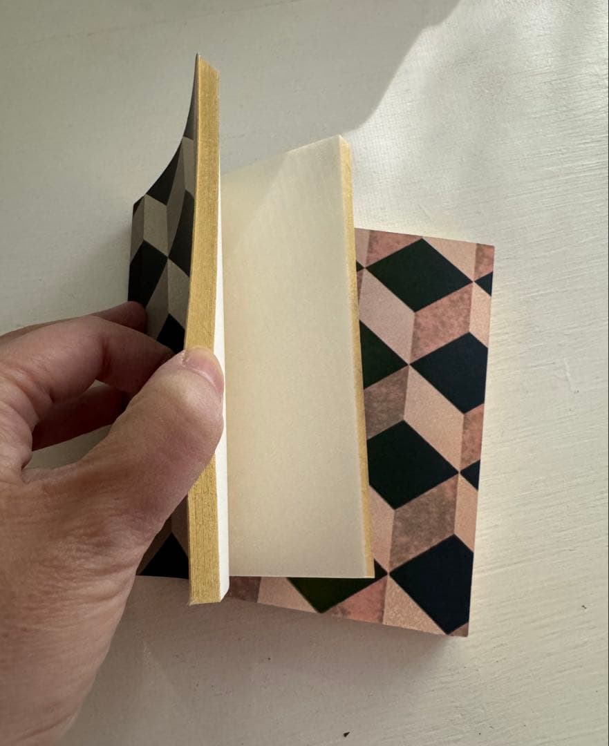 アスティエノート2冊アッシュぺーフランス購入