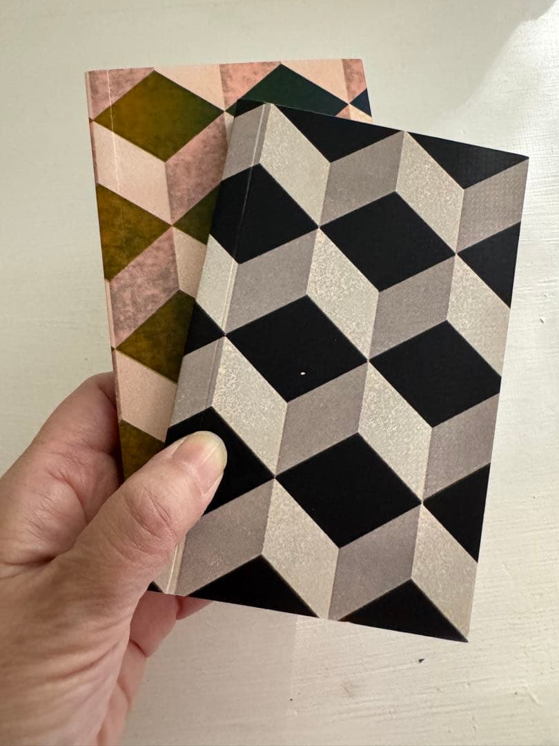 アスティエノート2冊アッシュぺーフランス購入