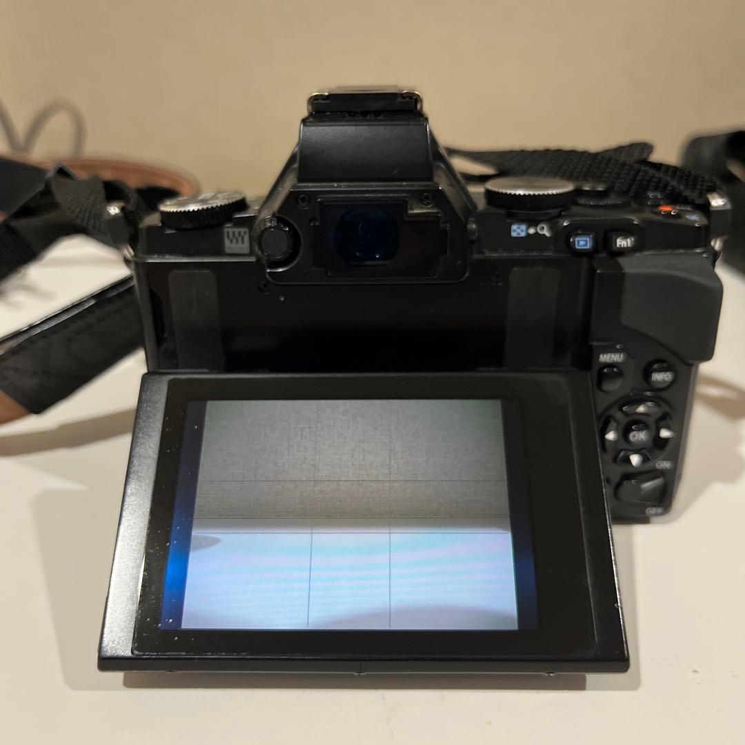 【動作確認済】オリンパス OM-D EM-5 ボディ＋付属品+ホルダー
