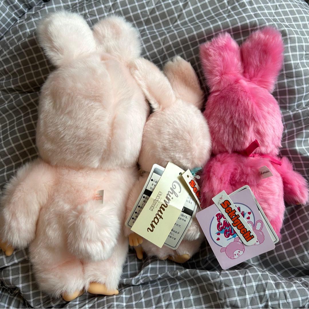 チムたんMサイズ 、Sサイズ POP’N CANDY CLUBチムたんSサイズ