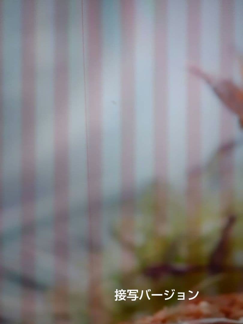 【美品】2022年購入　REGZA Z670K 55型大画面液晶テレビ