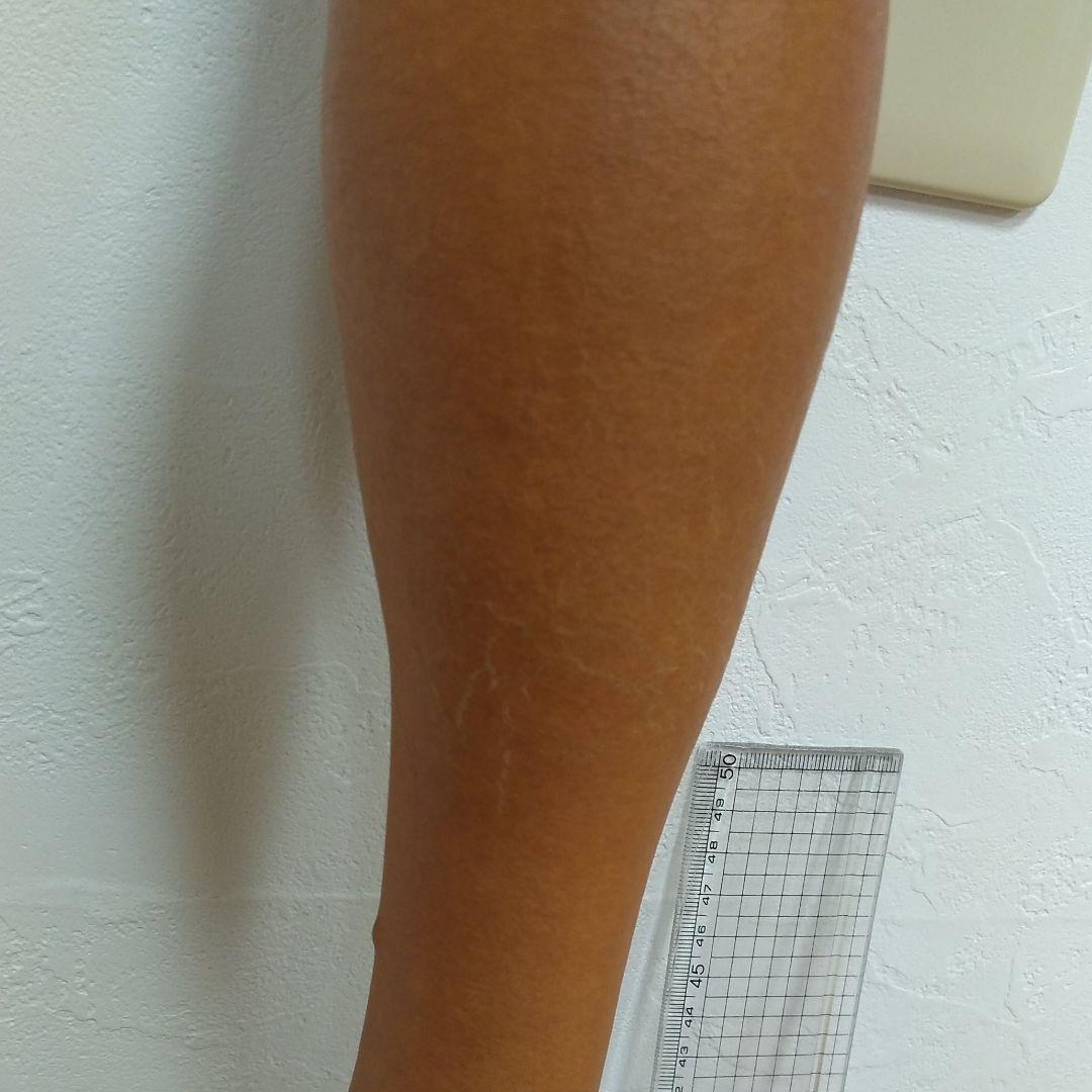 ひょうたん　46　乾燥済み　変わり　首長　超特大サイズ　無病息災　縁起物