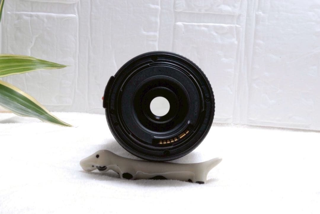 ⭐️キャノン Canon EF 90-300mm F/4.5-5.6 望遠レンズ