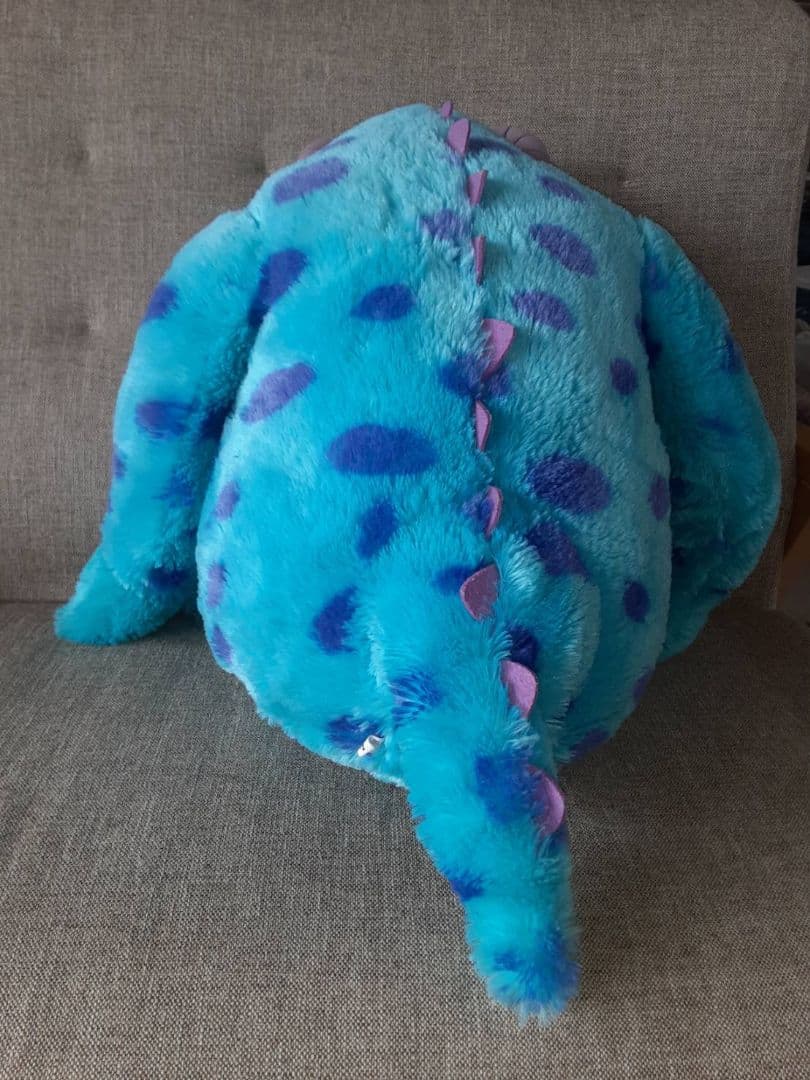 サリー 単独 大きいサイズ