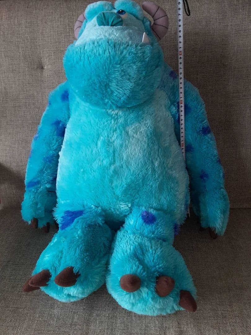 サリー 単独 大きいサイズ