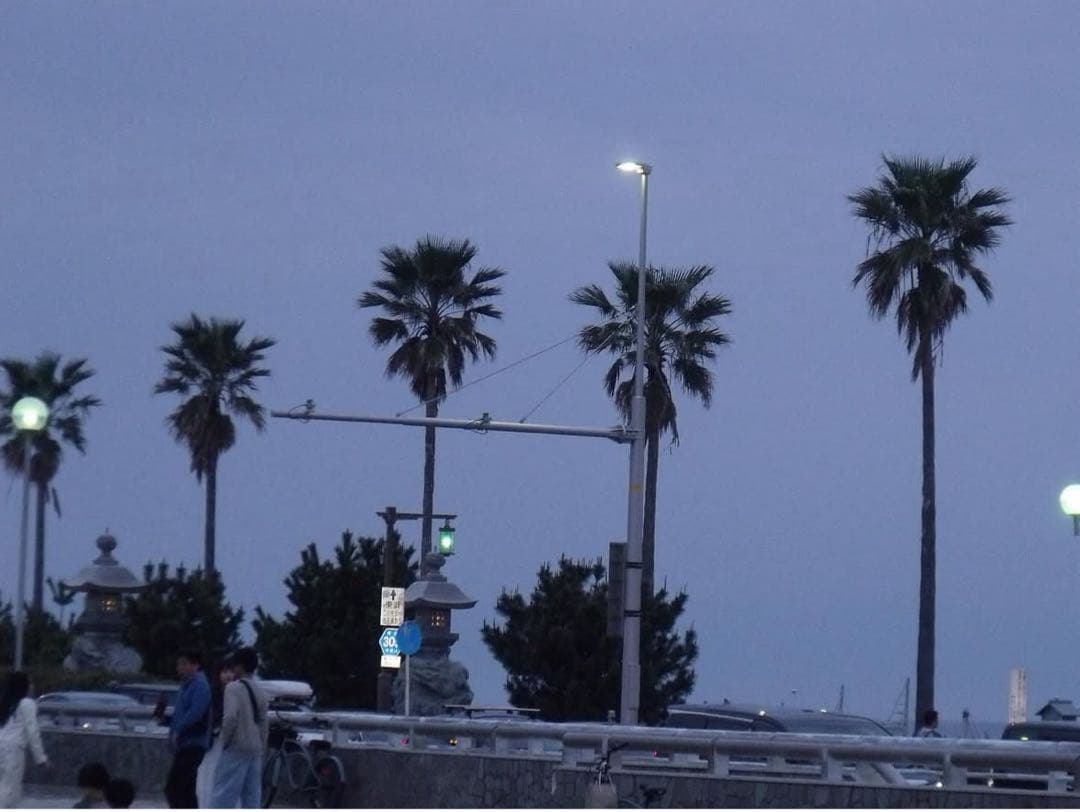 FUJIFILM FinePix S1500 デジカメ