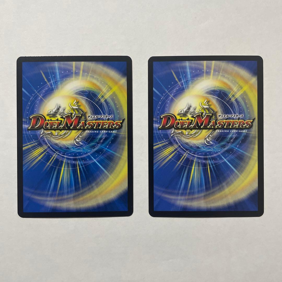 水上第九院 シャコガイルa 2枚セット