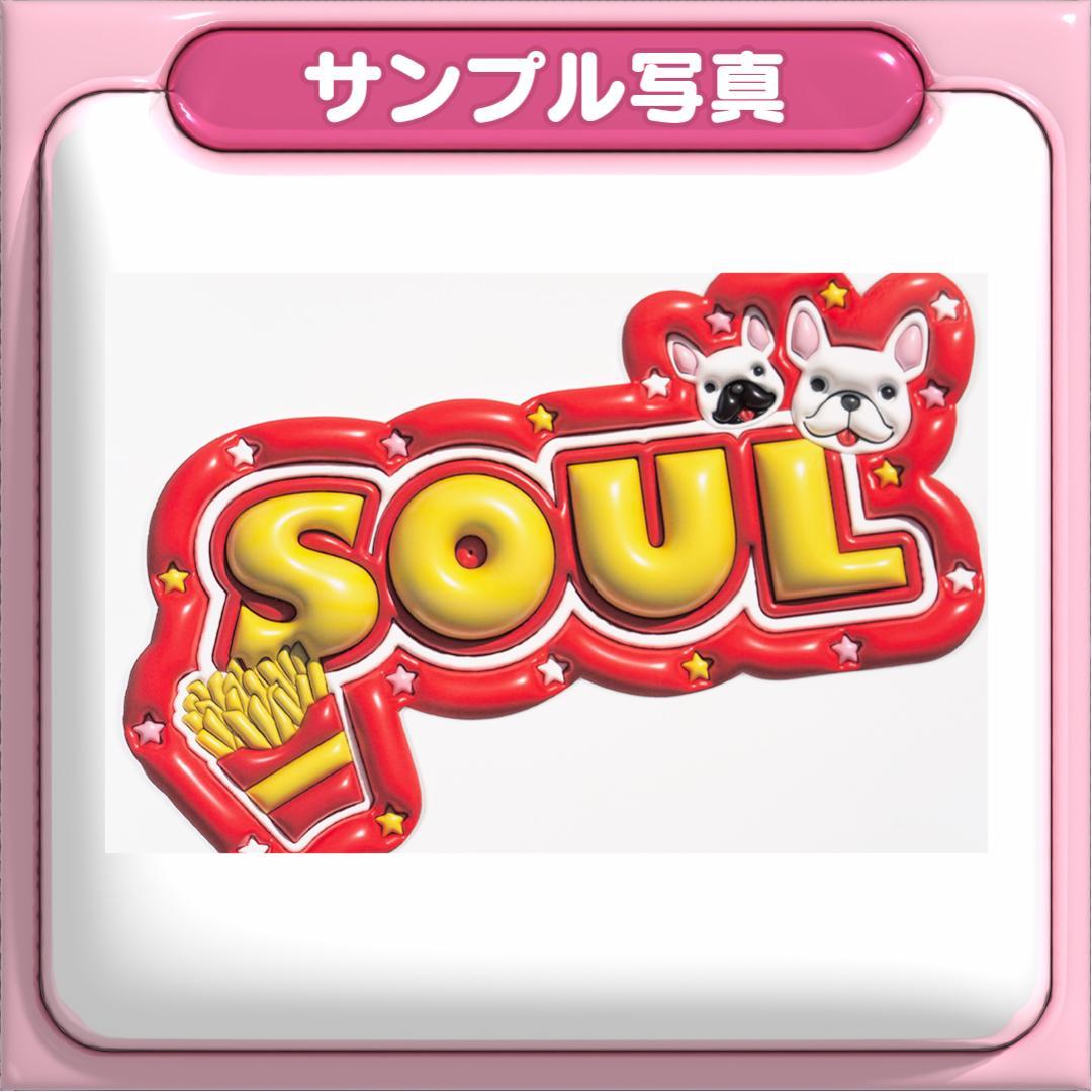 【SOUL ソウル ASTRO】ネームボード オーダー ぷっくり 文字