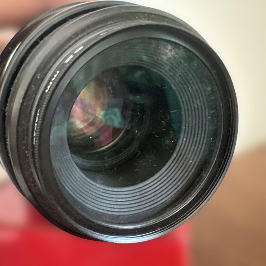 CANON EF 100mm f/2.8 MACRO レンズ