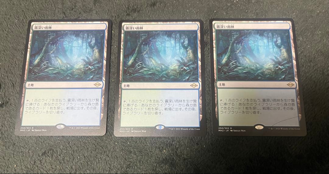 MTG 霧深い雨林　3枚セット