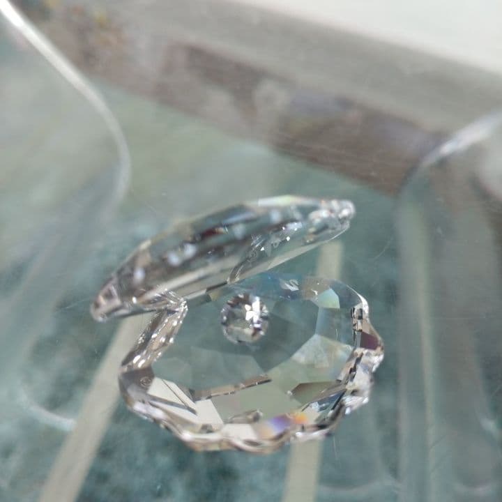 Swarovski クリスタル オープンシェル⭐︎お買い上証明書付き