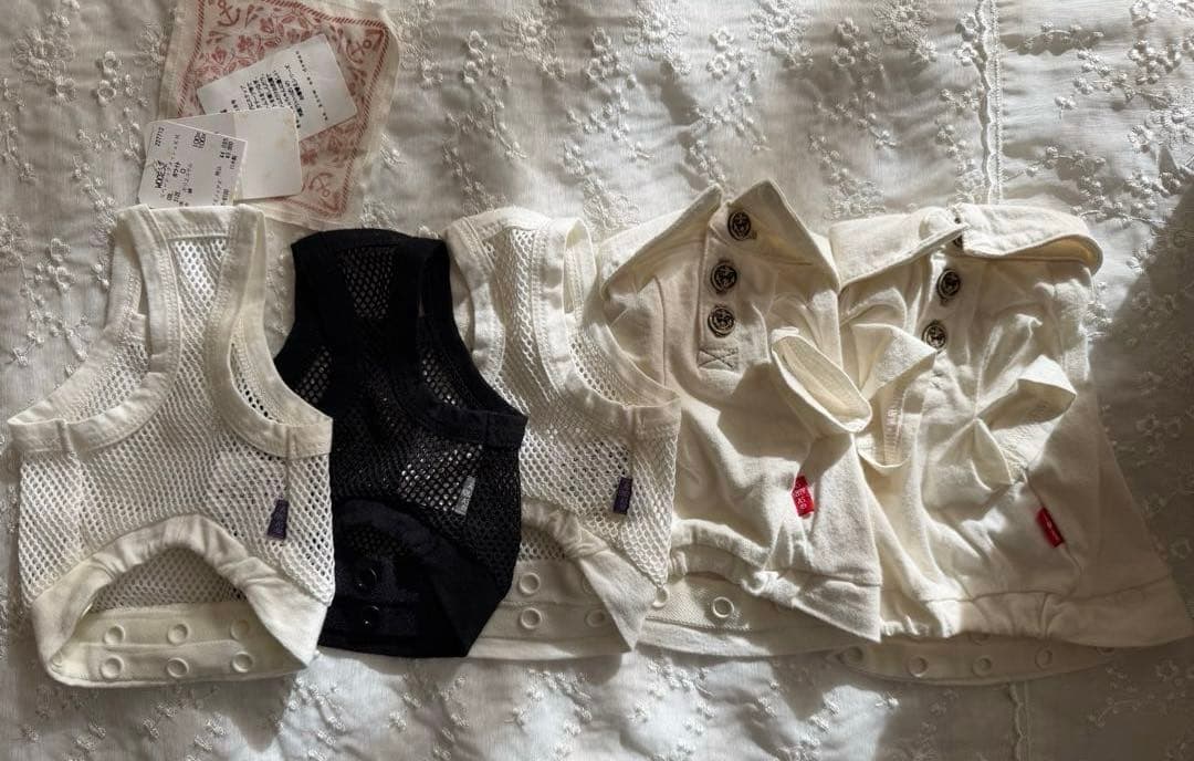 himawari 　　as know as 5点セット