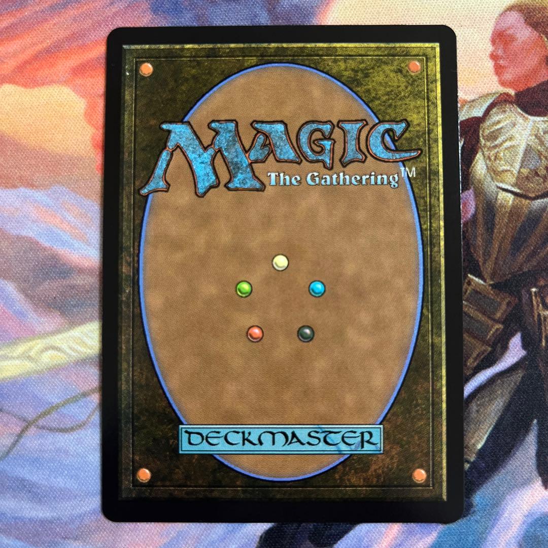 霧深い雨林　ドラゴンスケイルfoil MTG