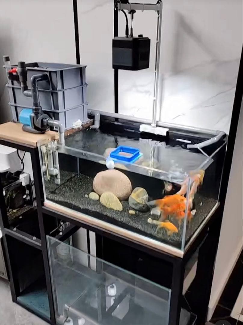 水中ポンプ25wホース濾過マット付き大型水槽万能濾過装置濾過外部式濾過層送料込み