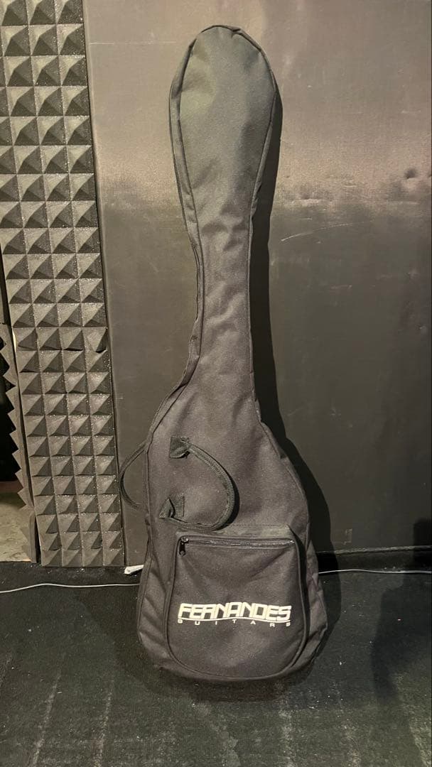 フェルナンデス FRB-75？ EMG搭載！