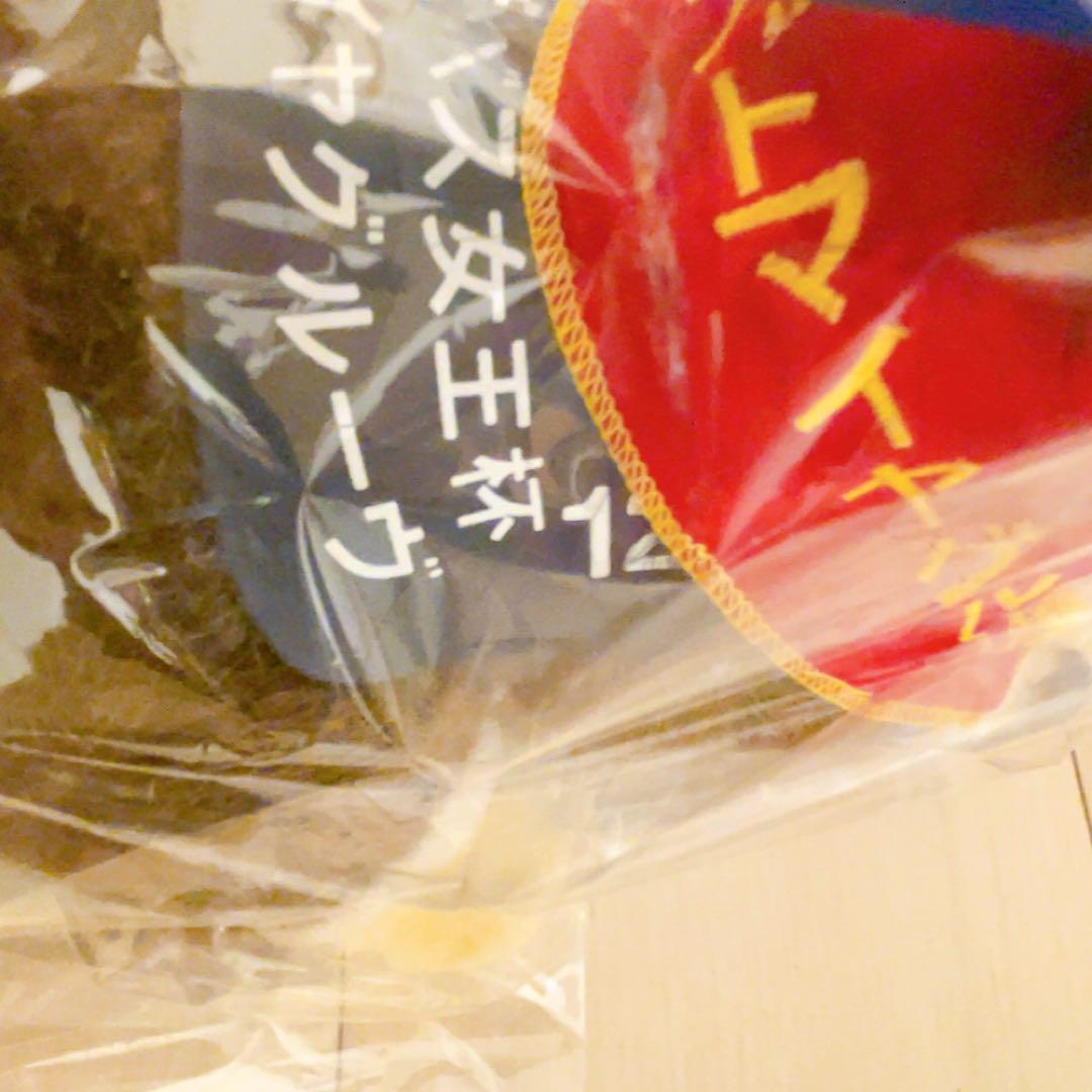 競馬ぬいぐるみ　エリザベス女王杯　アドマイヤグルーヴ　AVANTI