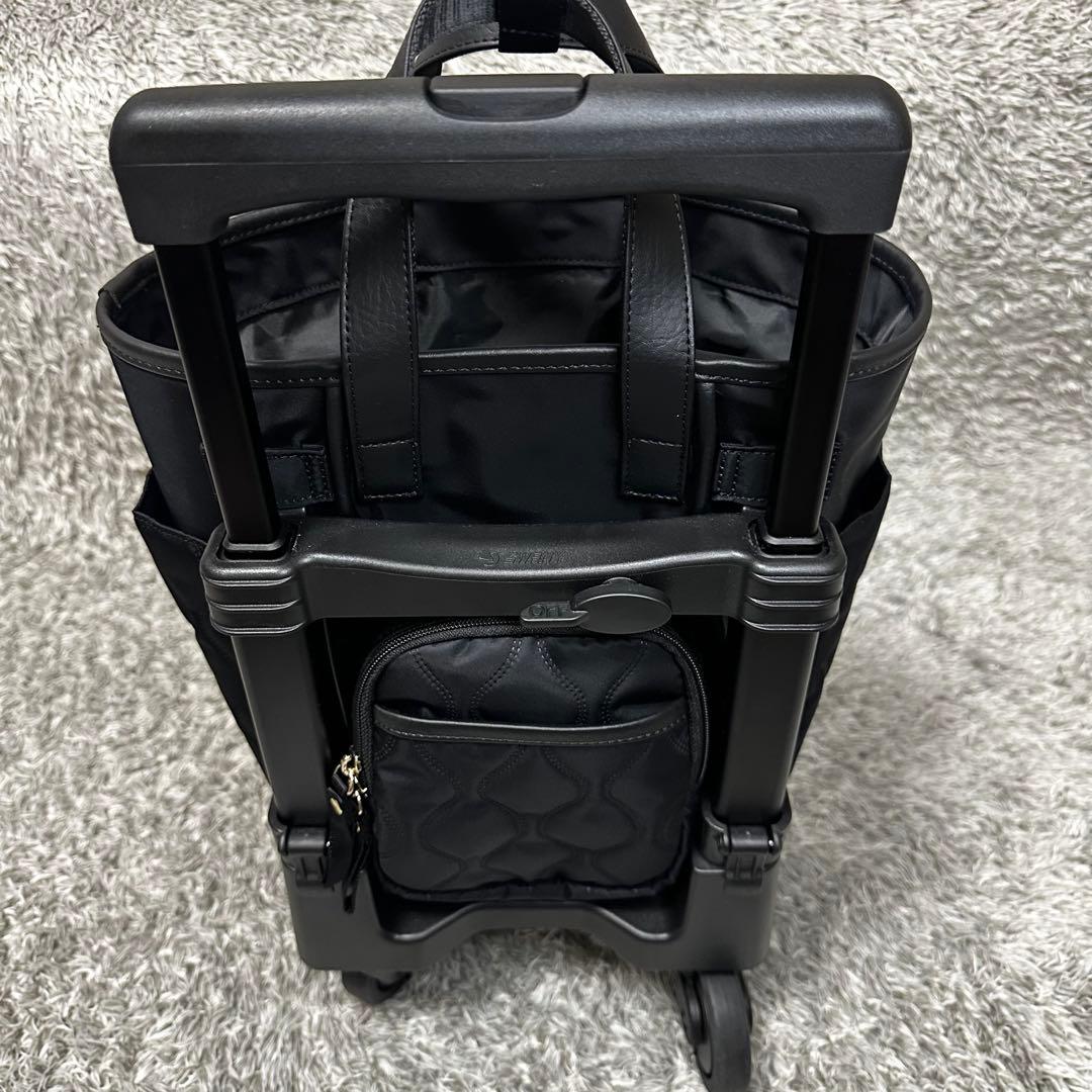 SWANY スワニー　キャリーバッグ D-589 プーフォ TS18