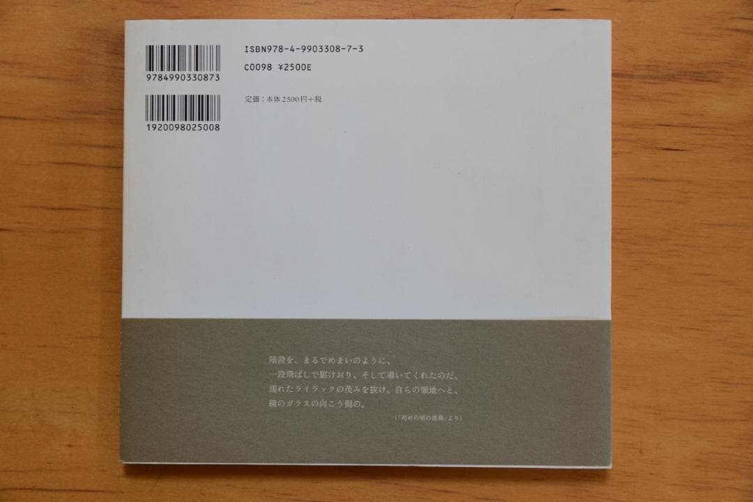 アルセーニイ・タルコフスキー詩集 『白い、白い日』